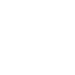 Ditto Network logo